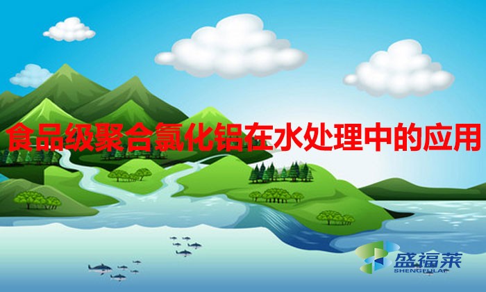 食品級(jí)聚合氯化鋁在水處理中的應(yīng)用與優(yōu)勢