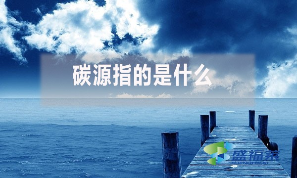 碳源指的是什么？