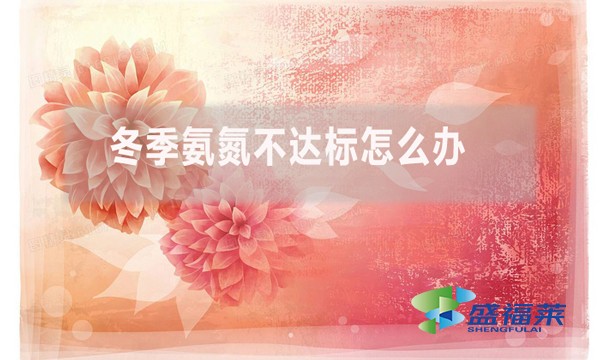 冬季氨氮不達(dá)標(biāo)怎么辦？