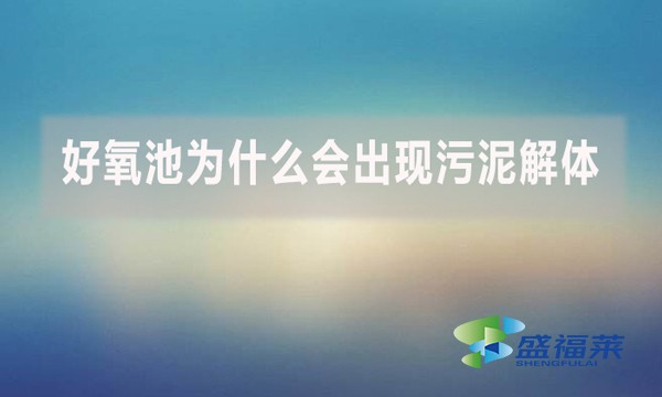 好氧池為什么會(huì)出現(xiàn)污泥解體？上清液細(xì)碎污泥多是怎么回事？