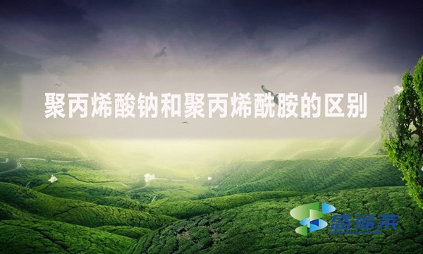 聚丙烯酸鈉和聚丙烯酰胺的區(qū)別？