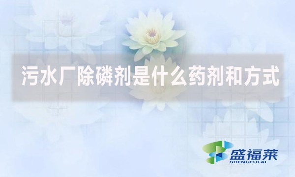 污水廠除磷劑是什么藥劑和方式？
