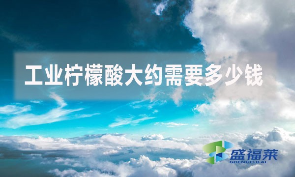 工業(yè)檸檬酸大約需要多少錢？
