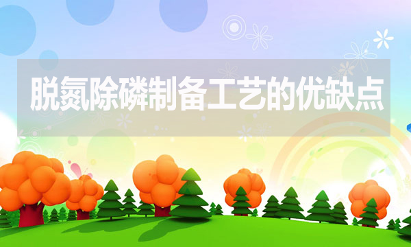 污水處理脫氮除磷制備工藝有哪些優(yōu)點和缺點？