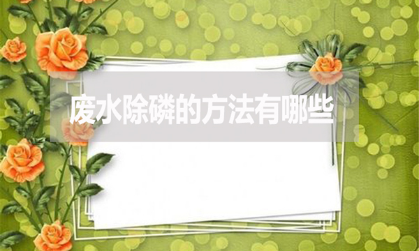 廢水除磷的方法有哪些？
