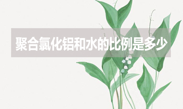 聚合氯化鋁和水的比例是多少？